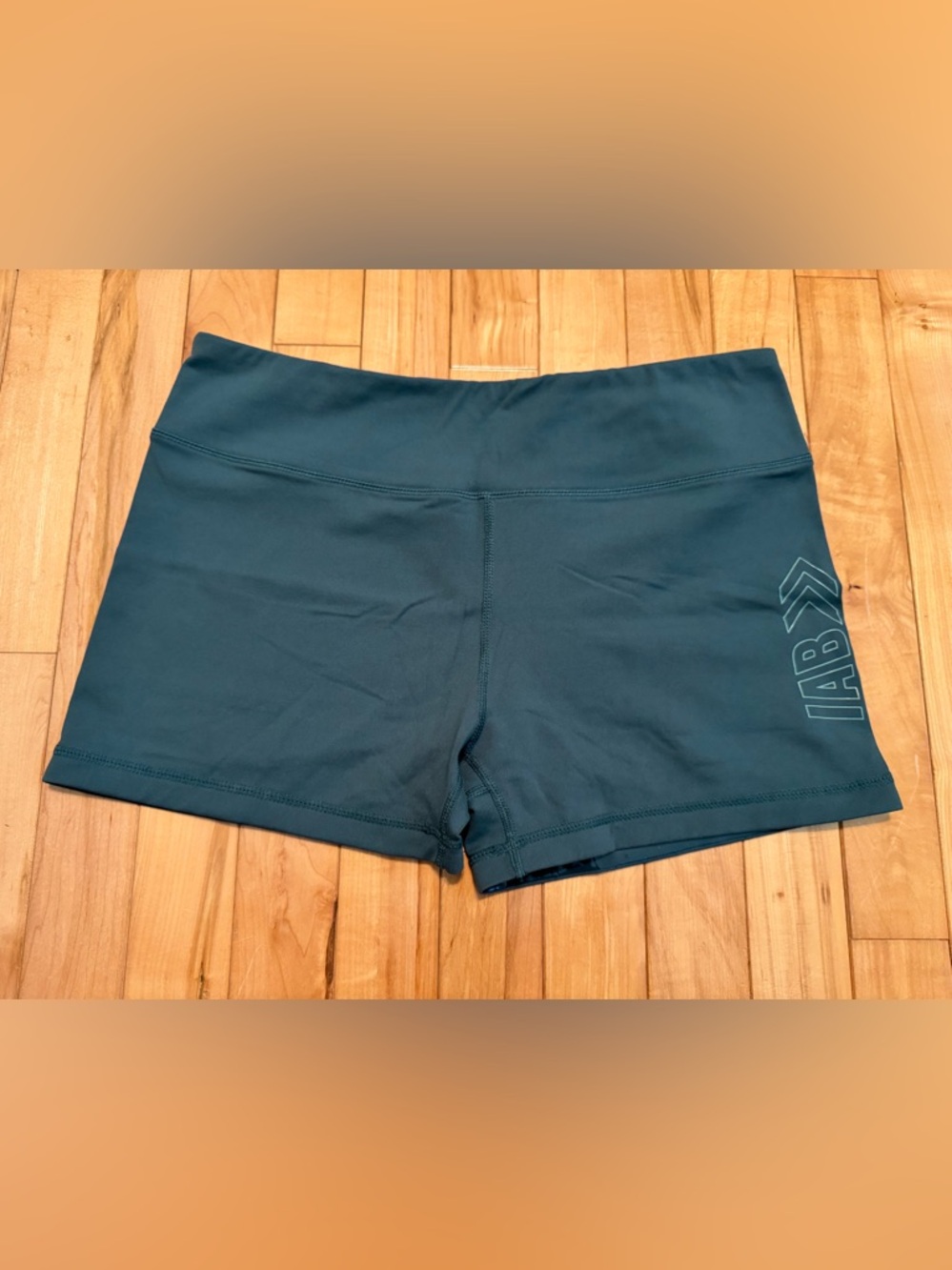 IAB Teal High-Rise Bike Shorts X-Large / 12